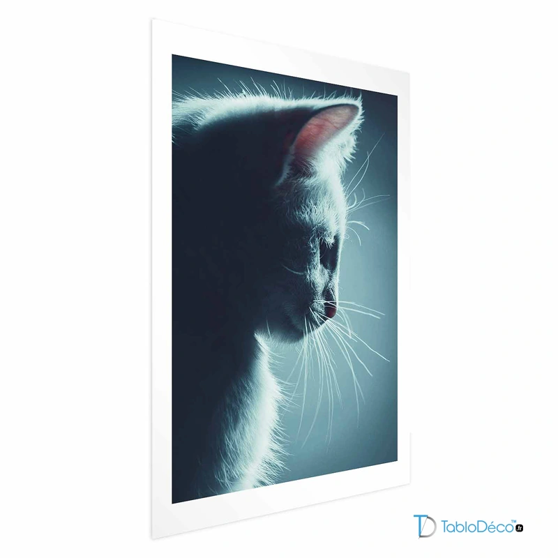 Poster Chat de Nuit avec une marge