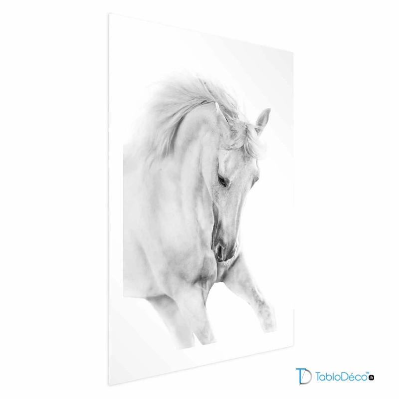 Affiche Cheval Blanc Sauvage avec marge