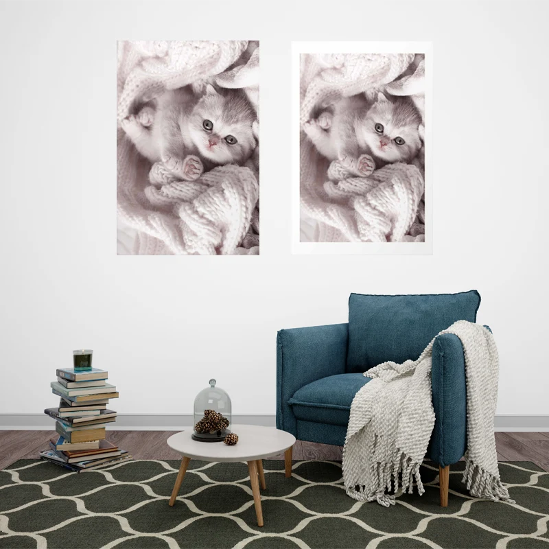 Affiche décorative avec un Chaton Mignon