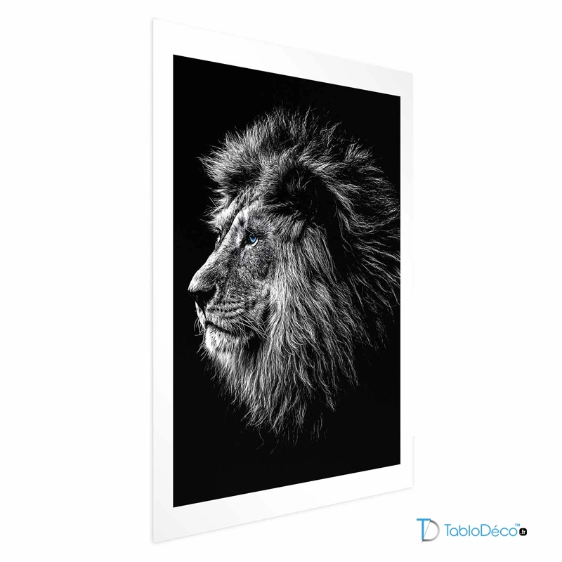 Affiche Murale Lion Noir et Blanc aux Yeux Bleus avec marge