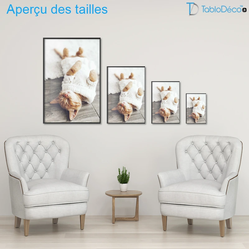 Poster Chaton Endormi