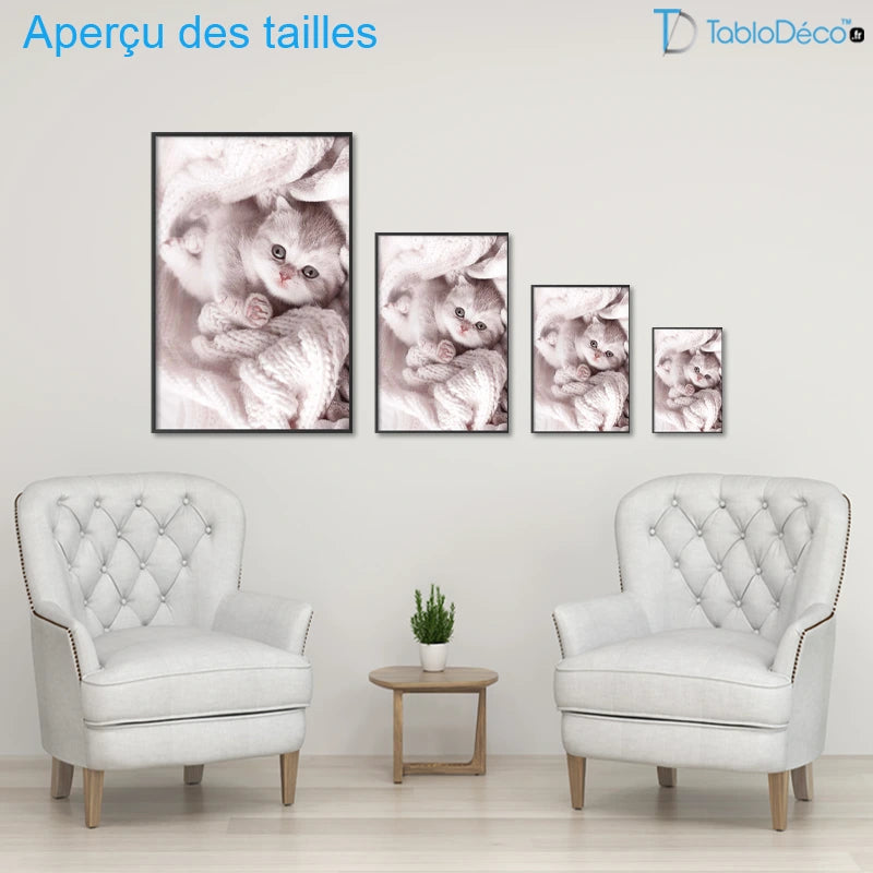 Poster Chaton Mignon