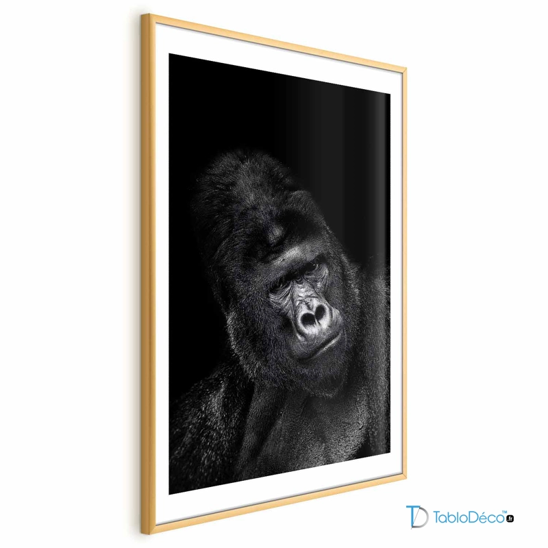 Poster d'un Gorille en Noir et Blanc cadre doré avec une marge