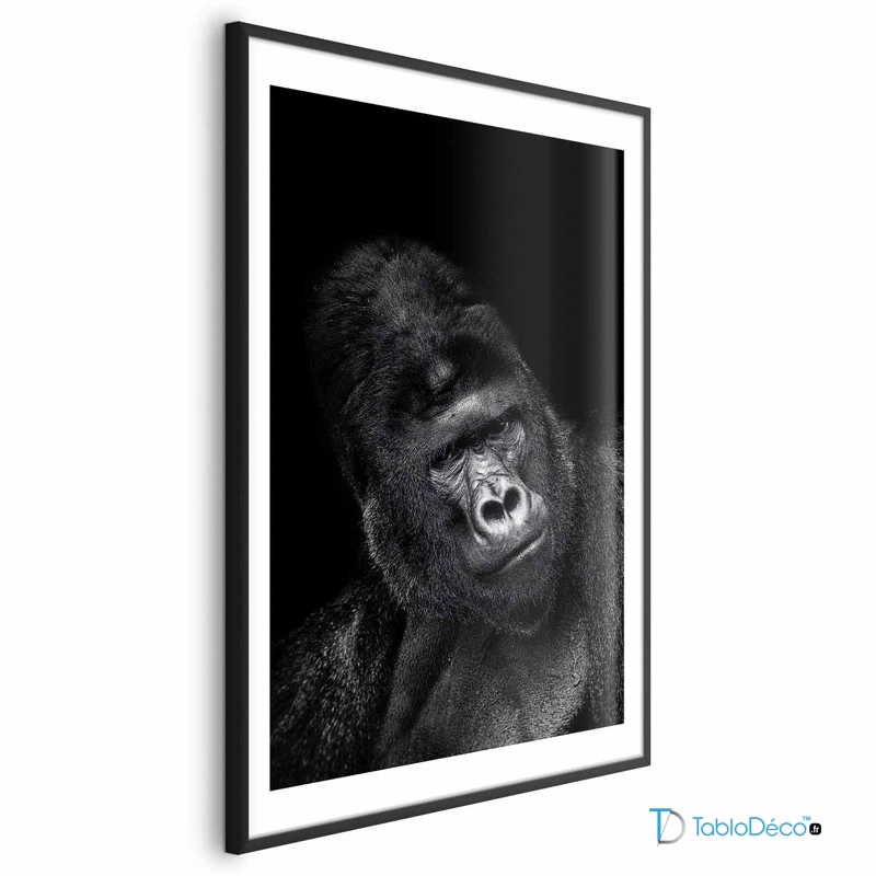 Poster d'un Gorille en Noir et Blanc cadre noir avec une marge