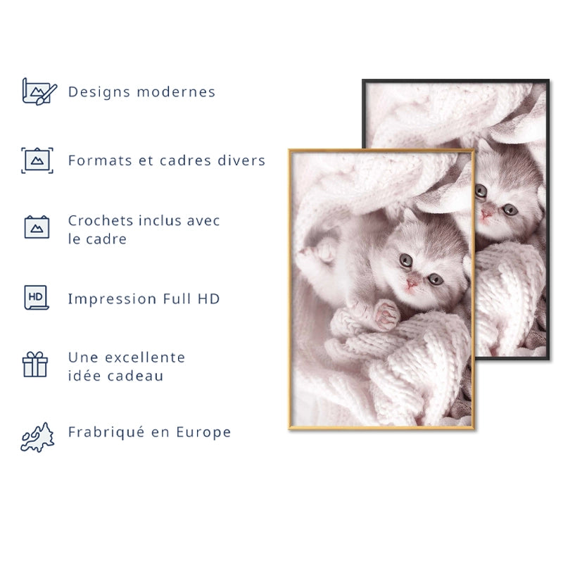 Poster Chaton Mignon
