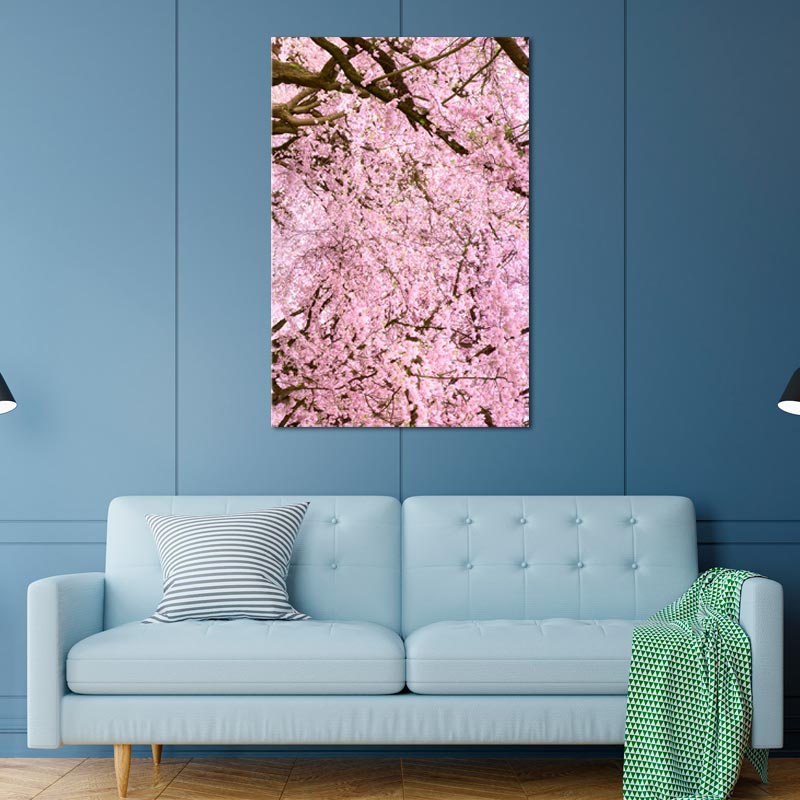 Tableau Cerisier Japonais en fleur