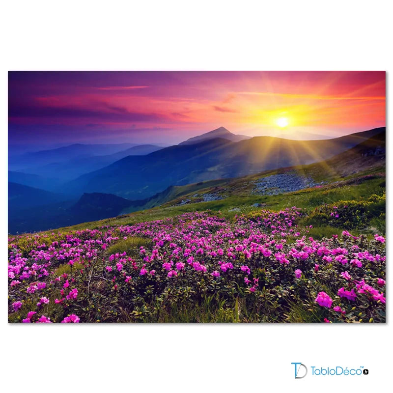 Tableau coucher de soleil montagne