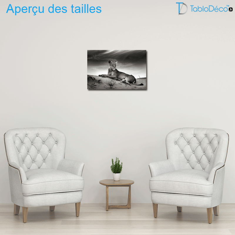 Aperçu des tailles du Tableau Noir et Blanc Lionne