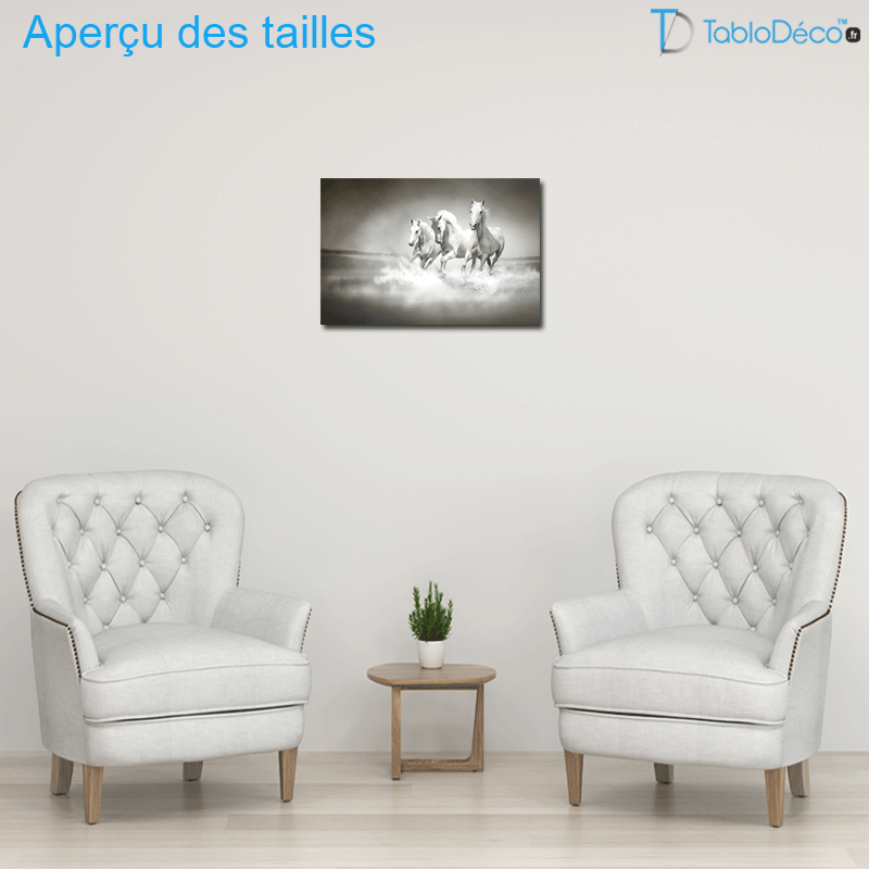 Tableau Chevaux Camarguais