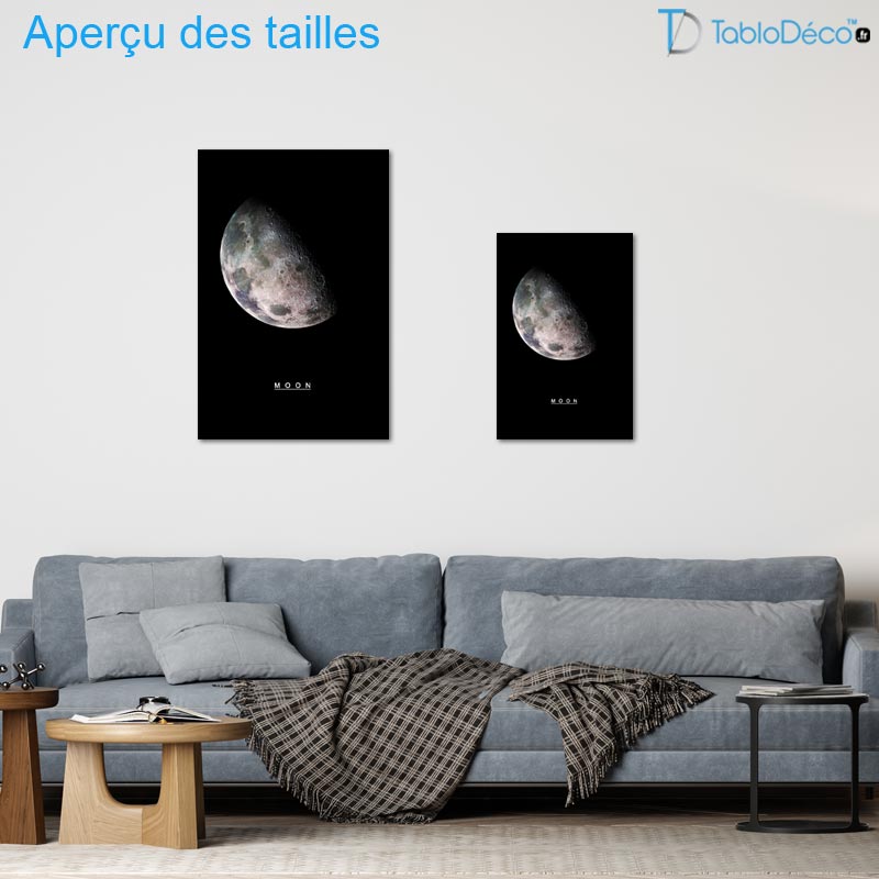 Tableau Décoratif de la Lune
