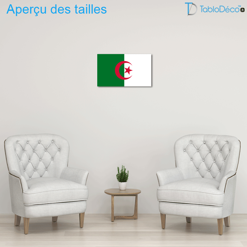 Tableau Drapeau Algérien