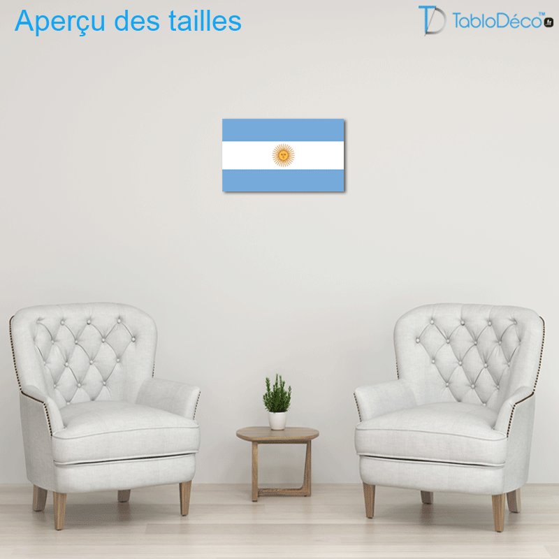 Tableau Drapeau Argentin