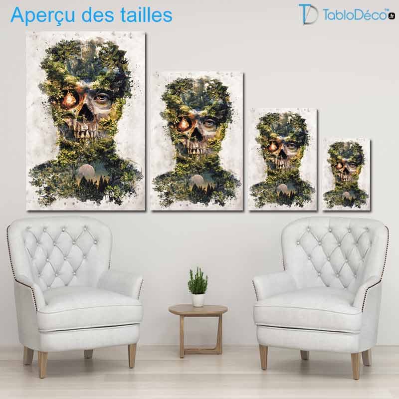 Aperçu des tailles du Tableau Tête de Mort Cachée