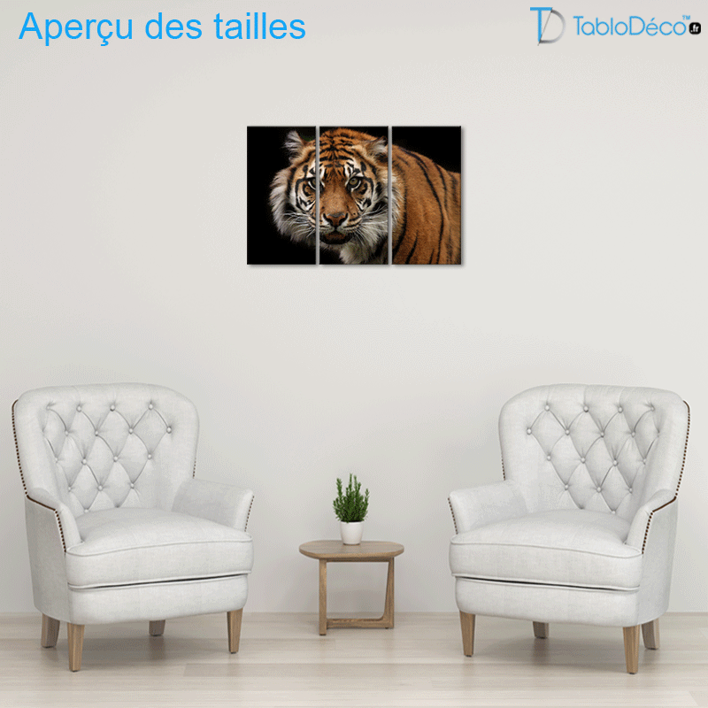Aperçu des tailles du Tableau Triptyque Tigre (3 parties)