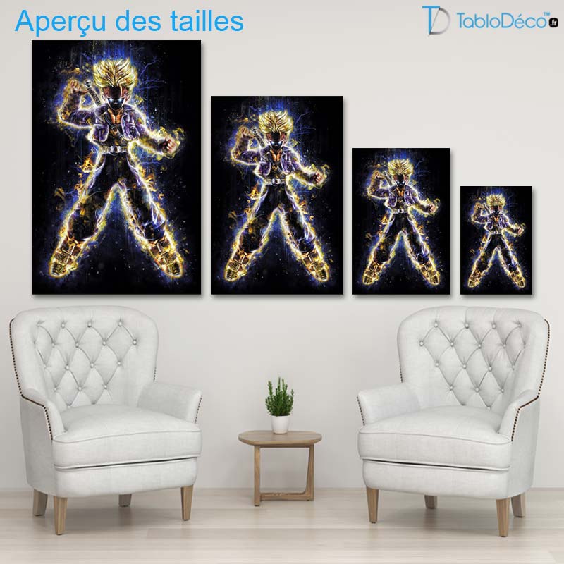 Tableau Trunks du Futur - DBZ