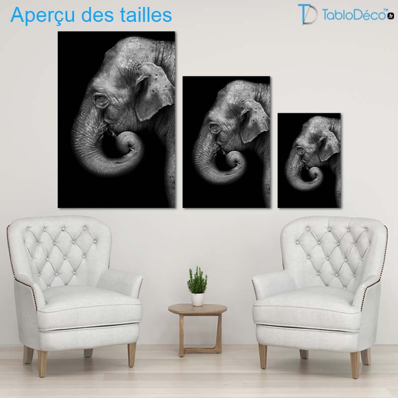 Toile Éléphant Noir et Blanc