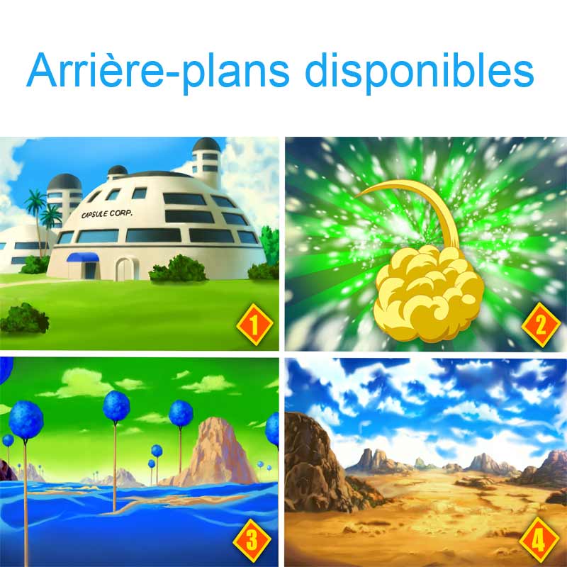 Tableau Dragon Ball Z Personnalisé