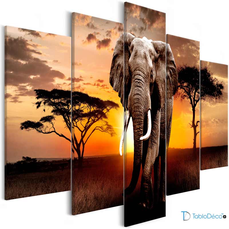 Acheter un Tableau Éléphant Grand Format sur châssis