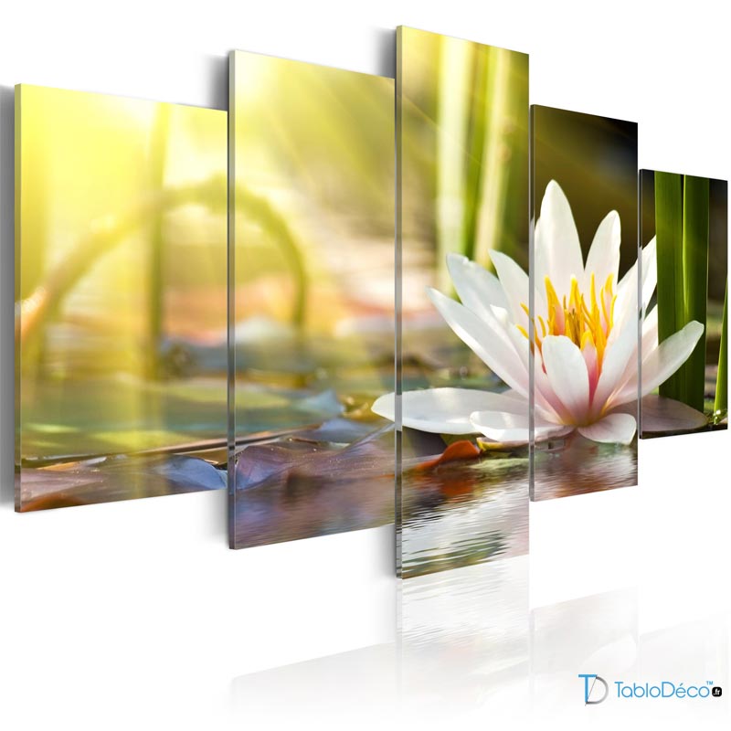 Tableau Décoratif Fleur Lotus