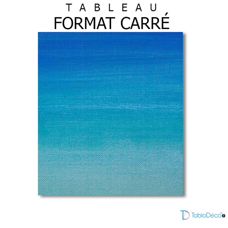 Languettes 3M pour Tableau format carré