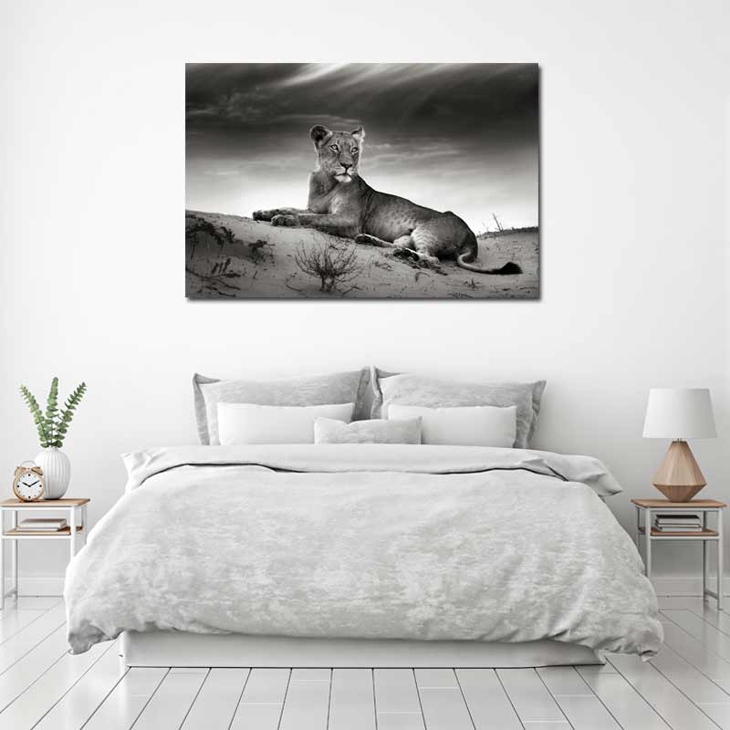 Tableau sur toile Noir et Blanc Lionne