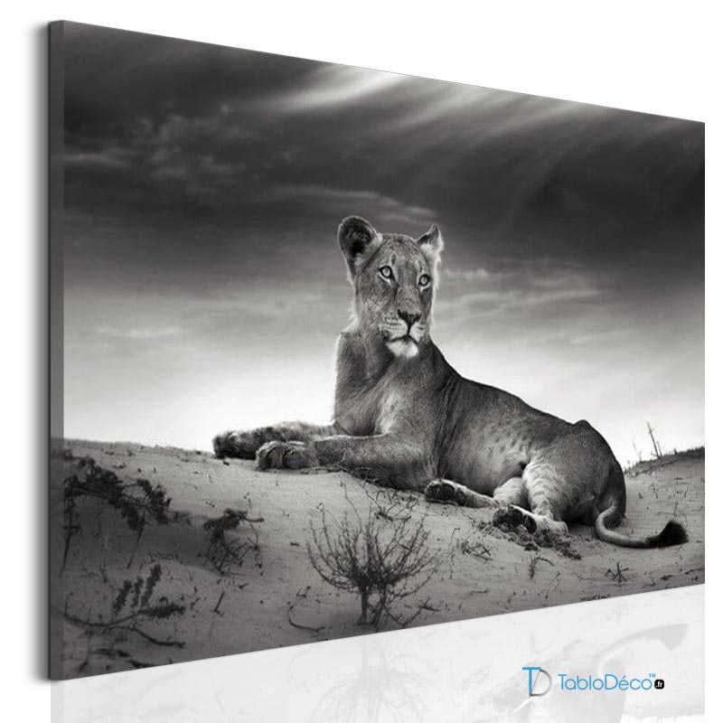 Acheter un Tableau Noir et Blanc Lionne - TabloDéco.fr