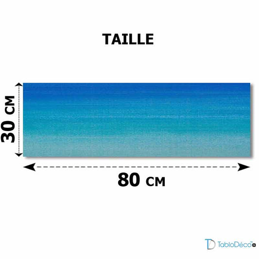 Tableau Panoramique Personnalisé sur toile 80x30 cm