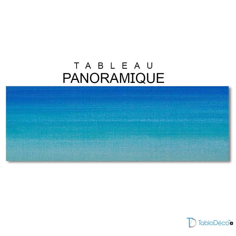 Languettes 3M pour Tableau format panoramique