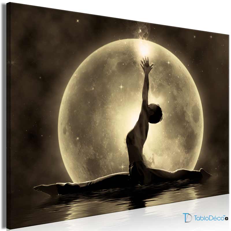 Tableau sur toile Silhouette Lunaire