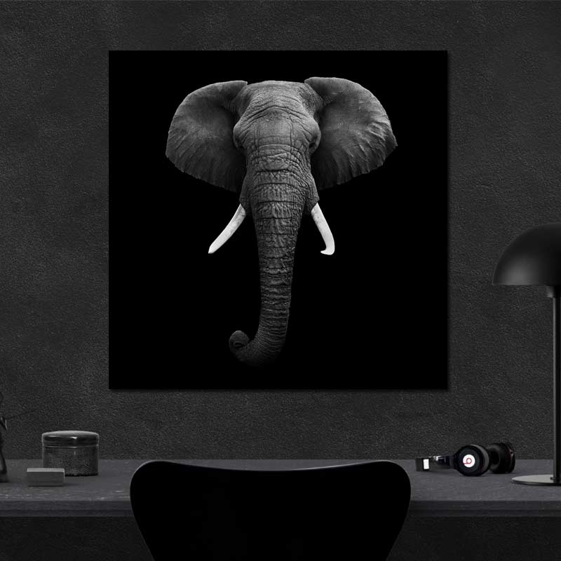 Tableau déco Tête Éléphant