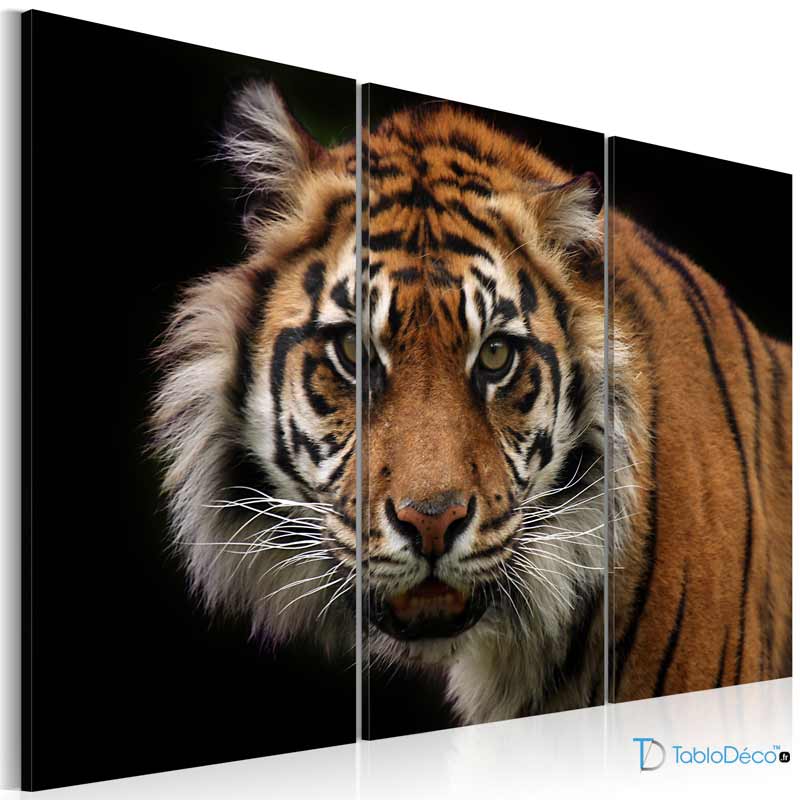 Acheter un Tableau Triptyque Tigre