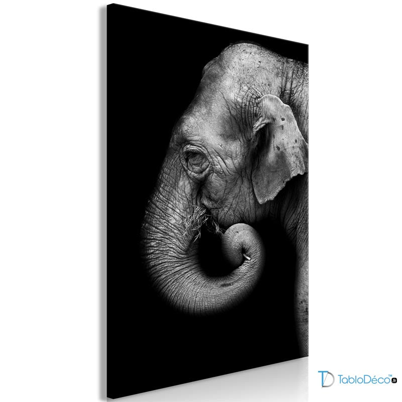 Acheter une Toile Éléphant Noir et Blanc - TabloDéco.fr