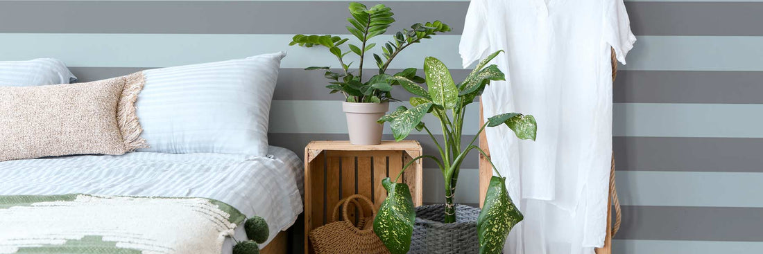 idées déco chambre thème nature