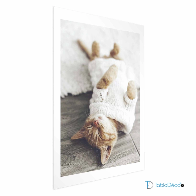 Affiche d'un Chaton Endormi avec une marge