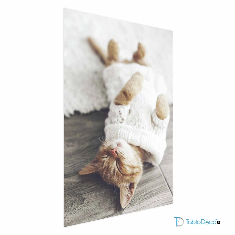 Affiche Chaton Endormi