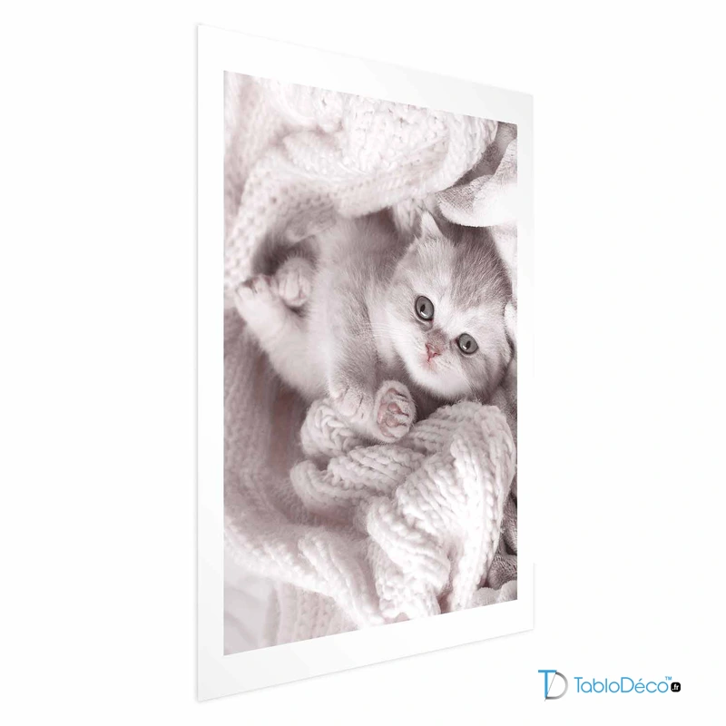 Affiche Chaton Mignon avec une marge