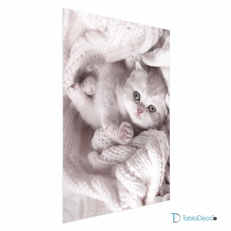Affiche Chaton Mignon