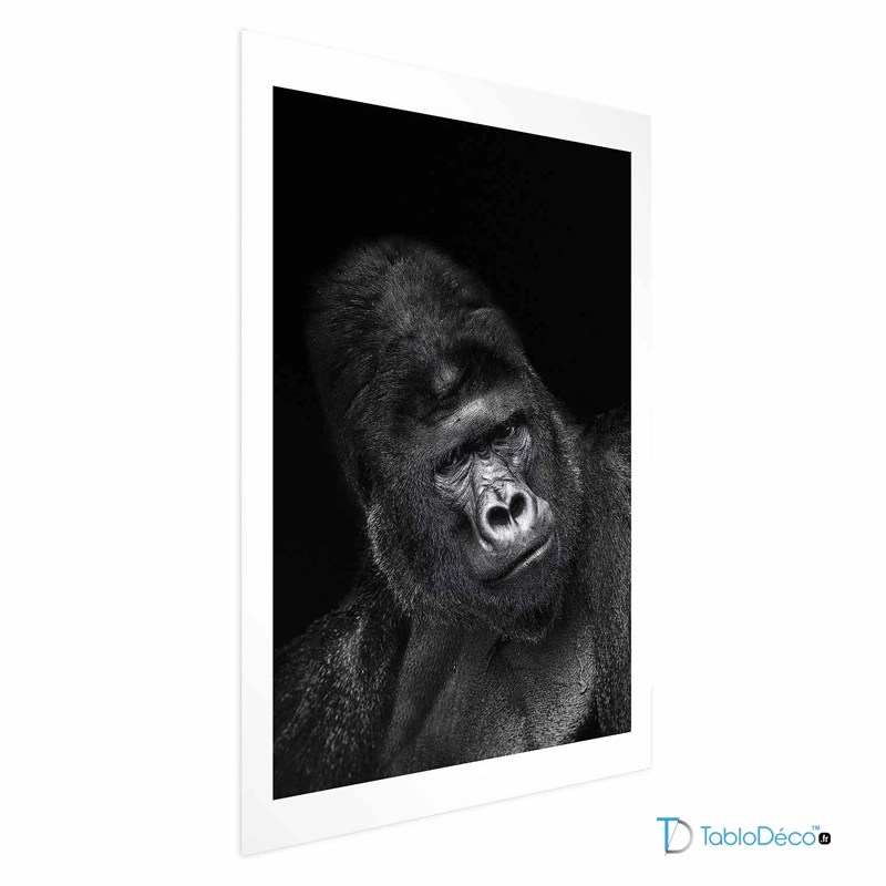 Affiche d'un Gorille en Noir et Blanc avec une marge