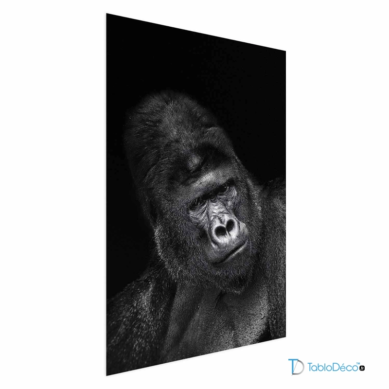 Affiche d'un Gorille en Noir et Blanc