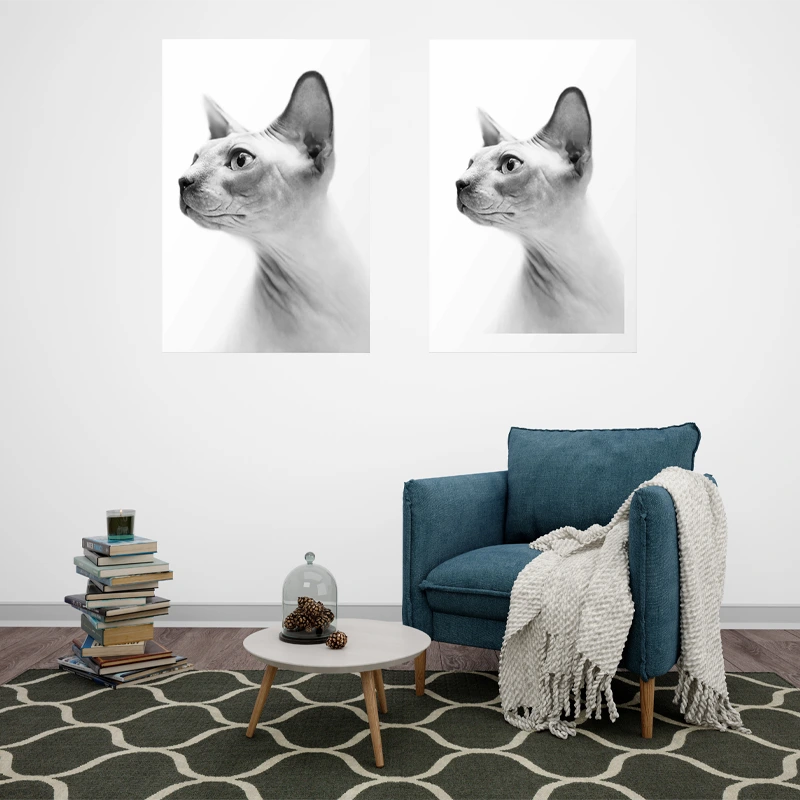 Affiche murale Chat Sphynx en Noir et Blanc