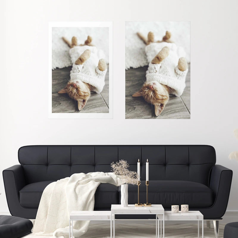 Affiche murale Chaton Endormi accrochée au-dessus d'un canapé