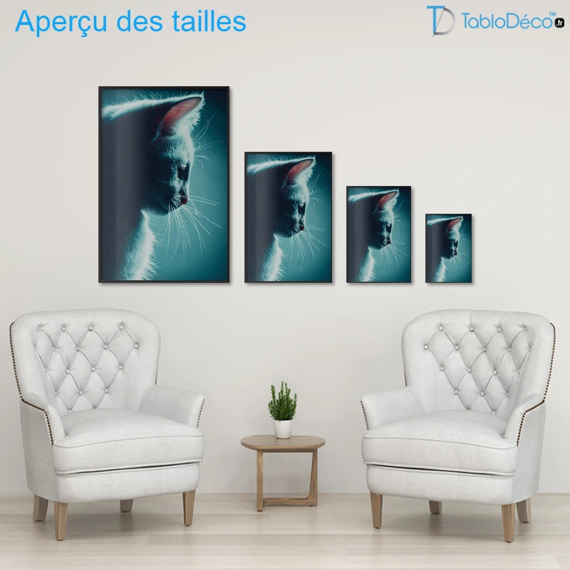 Poster Chat de Nuit