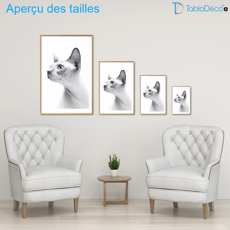 Poster Chat Sphynx en Noir et Blanc