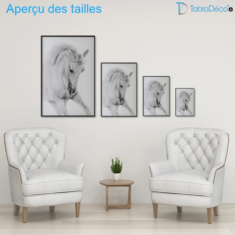 Poster Cheval Blanc Sauvage