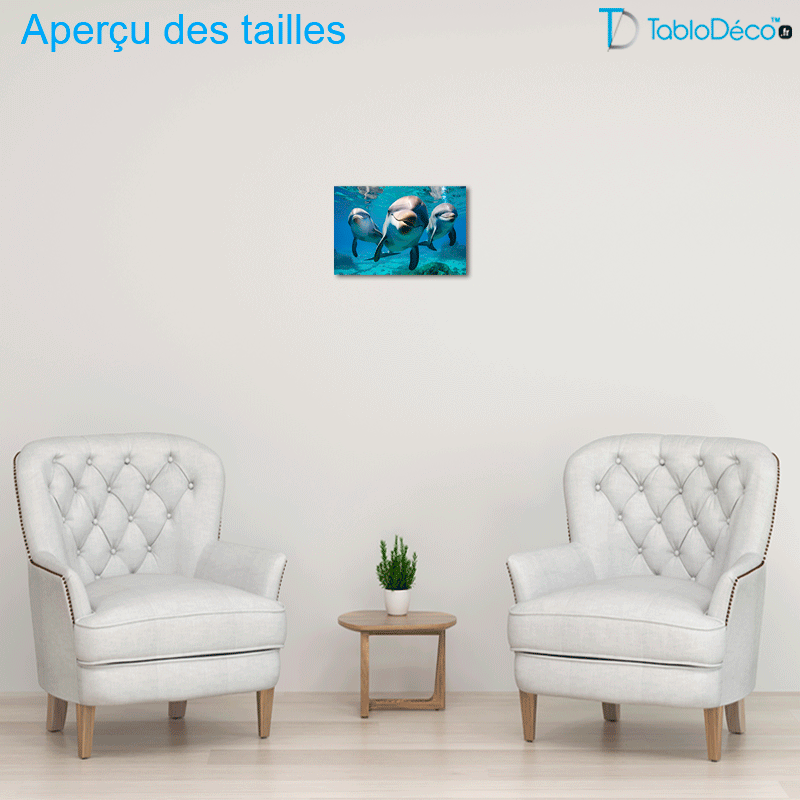 Tableau Dauphins Intrigués