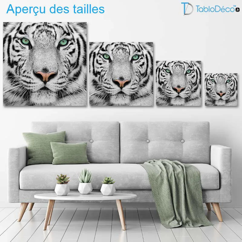 Tableau déco Tigre Blanc