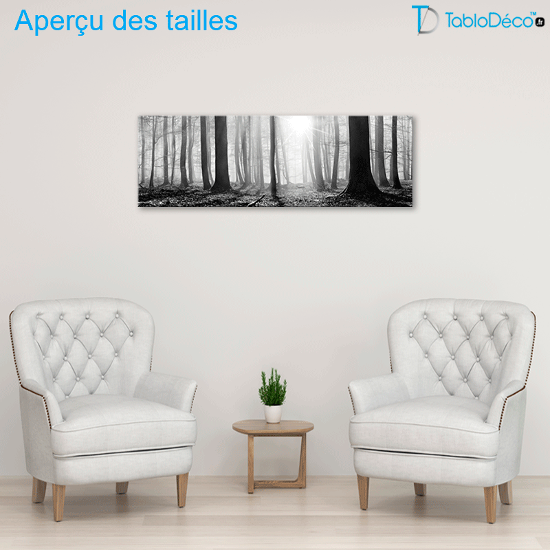 Tableau Forêt Noir et Blanc