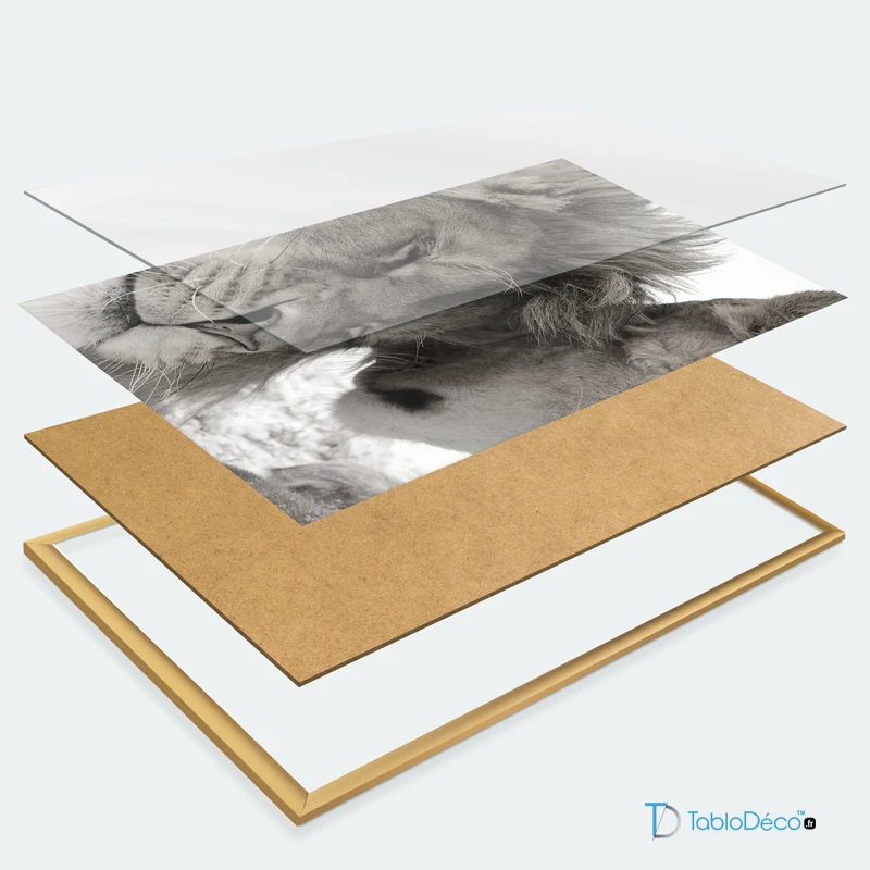 Poster Couple Sauvage Noir et Blanc