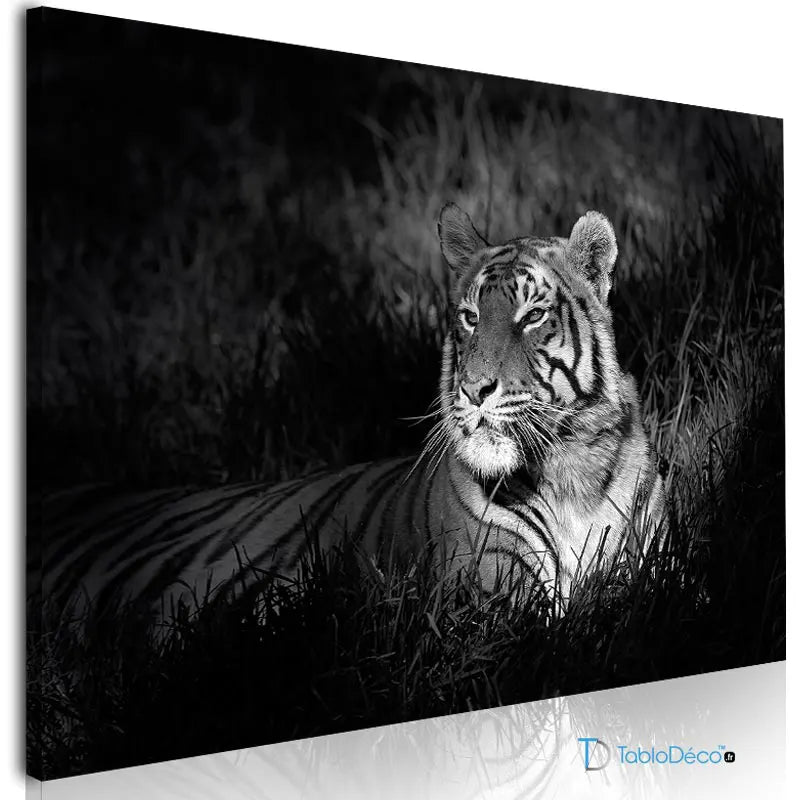 Acheter un Tableau Tigre Noir et Blanc - TabloDéco.fr
