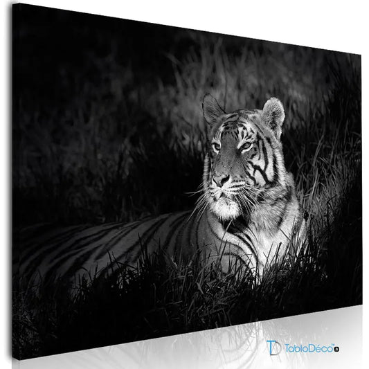 Acheter un Tableau Tigre Noir et Blanc - TabloDéco.fr